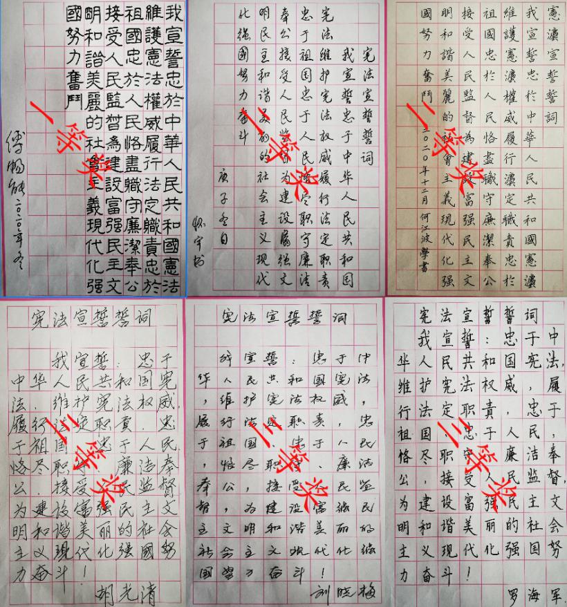 乐山市供销社机关党支部开展"宪法在我心中"硬笔书法比赛