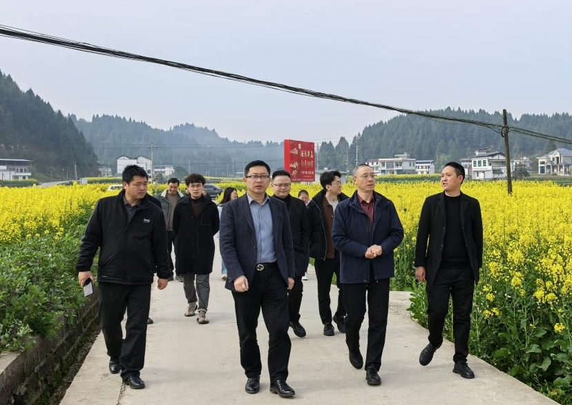 微信截图_20250321185312.png