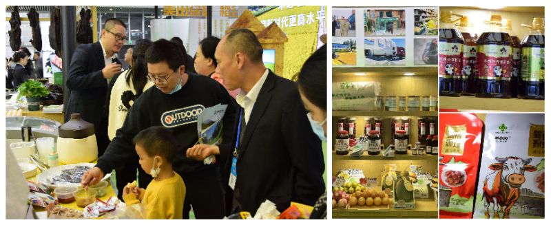 图片 4.jpg
