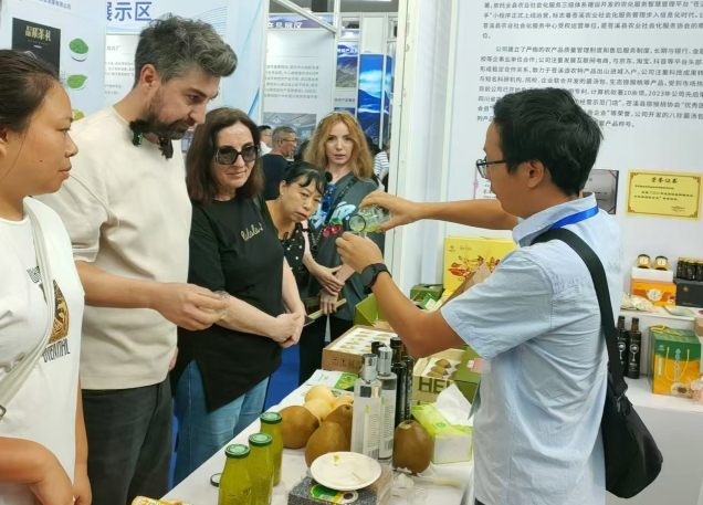 微信截图_20240924170243.png