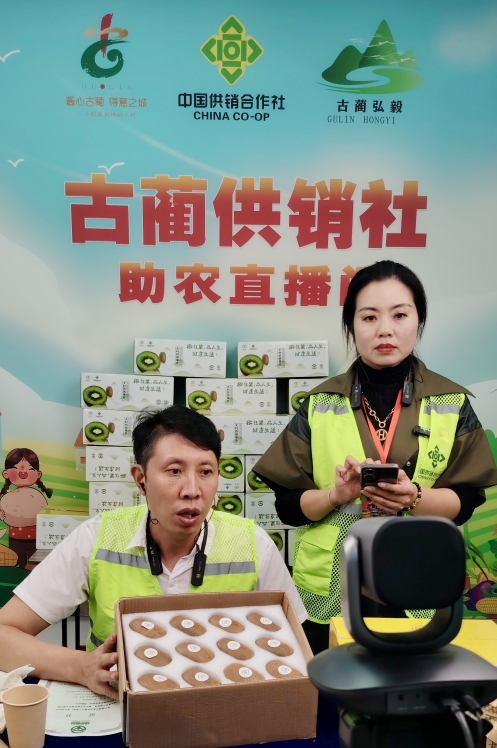 微信截图_20241024150052.png